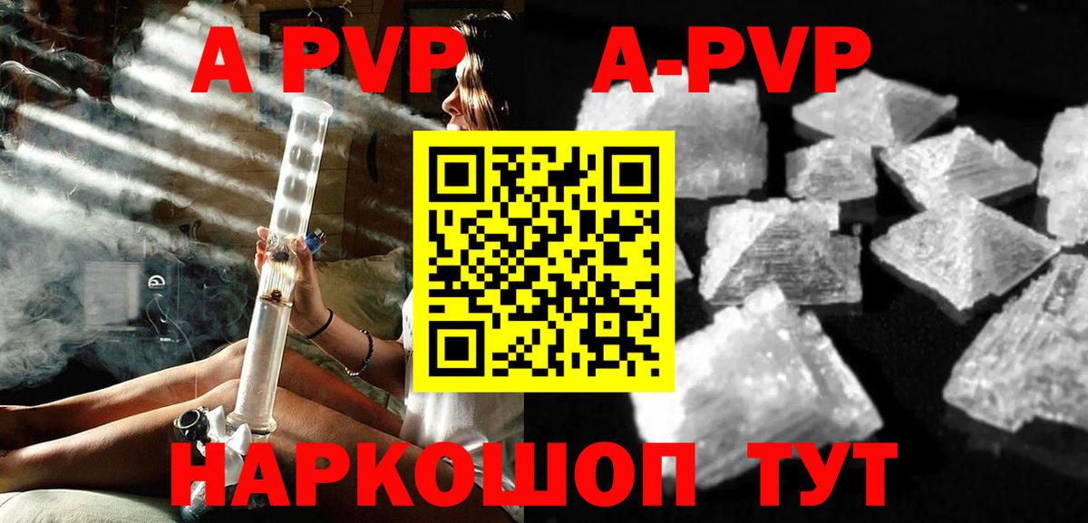 Alfa_PVP СК КРИС Кореновск
