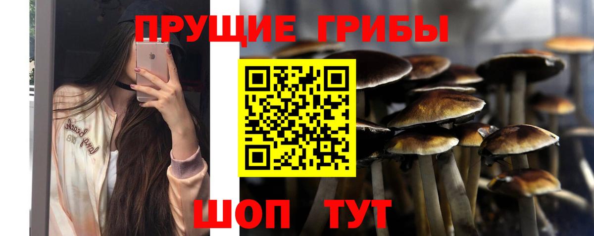 Галлюциногенные грибы Psilocybine cubensis  Вход с VPN  Кореновск  Псилоцибиновые грибы мицелий 